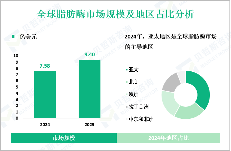 全球脂肪酶市场规模及地区占比分析