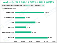 2025年一季度湖北省实现社会消费品零售总额6887.19亿元，同比增长7.3%