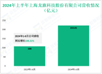 龙旗科技专注于消费电子领域，其2024上半年营收为222.81亿元