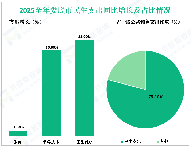 2025全年娄底市民生支出同比增长及占比情况
