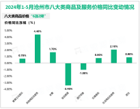 2024年1-5月沧州市限额以上单位消费品零售额完成178.8亿元，同比增长4.5%