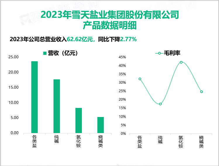 2023年雪天盐业集团股份有限公司产品数据明细