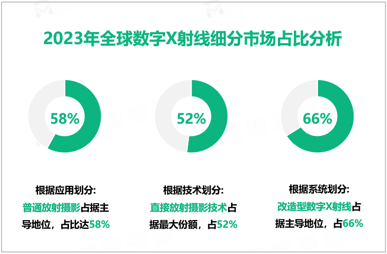 2023年全球数字X射线细分市场占比分析