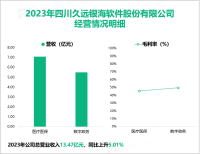 久远银海深耕智慧民生领域二十余年，其营收在2023年为13.47亿元

