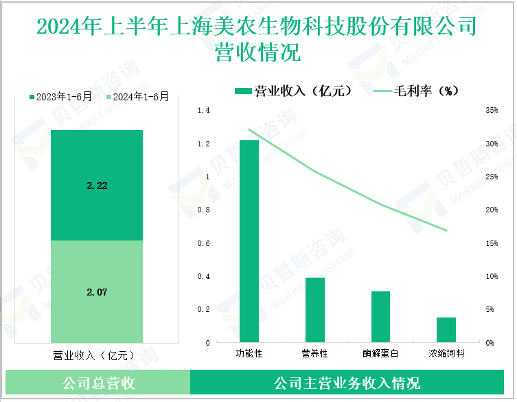2024年上半年上海美农生物科技股份有限公司营收情况