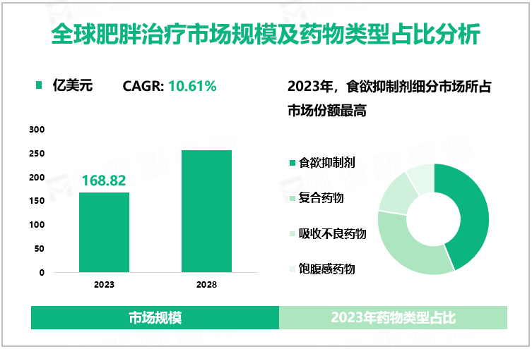 全球肥胖治疗市场规模及药物类型占比分析