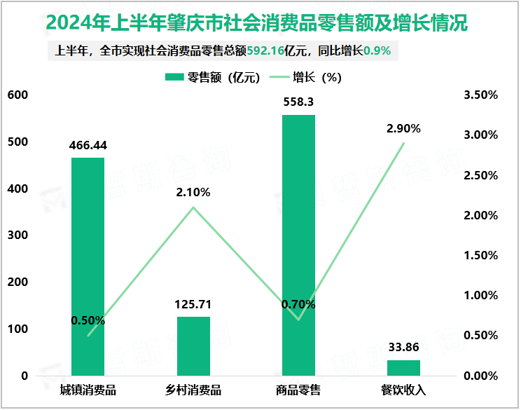 2024年上半年肇庆市社会消费品零售额及增长情况
