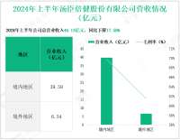 汤臣倍健深耕膳食营养补充剂行业，其营收在2024年上半年为46.13亿元
