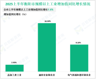 2025上半年衡阳市实现地区生产总值2171.33亿元，同比增长5.9%