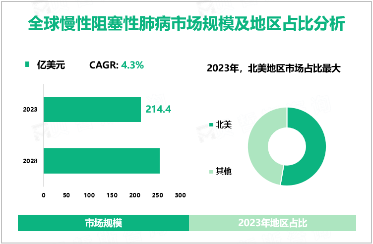 全球慢性阻塞性肺病市场规模及地区占比分析