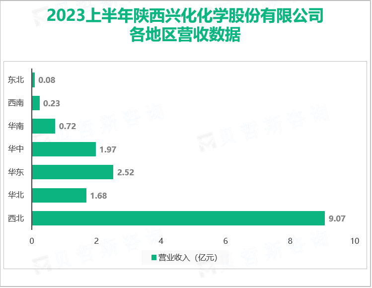 2023上半年陕西兴化化学股份有限公司 各地区营收数据