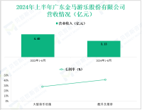 金马游乐深耕文旅装备制造，其营收在2024年上半年为3.13亿元