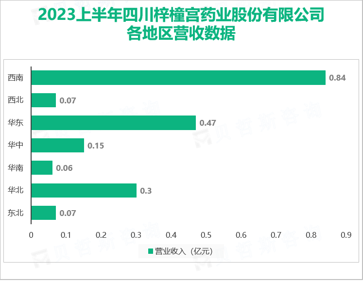 2023上半年四川梓橦宫药业股份有限公司 各地区营收数据