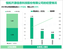 恒拓开源现已将业务范围拓展至医药健康等领域，其营收在2023年为1.91亿元

