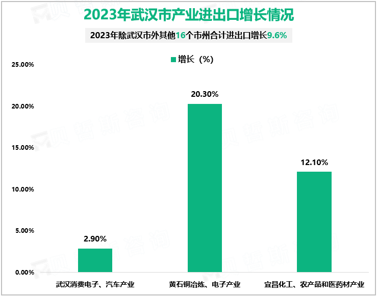 2023年武汉市产业进出口增长情况