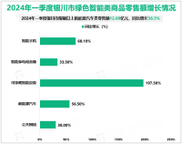 2024年一季度银川市限额以上新能源汽车类商品零售额12.69亿元，同比增长56.5%