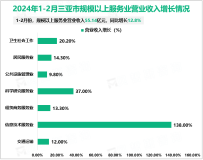 2024年1-2月三亚市社会消费品零售总额100.66亿元，同比下降11.8%