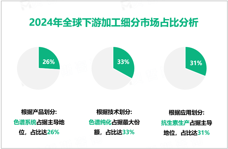 2024年全球下游加工细分市场占比分析