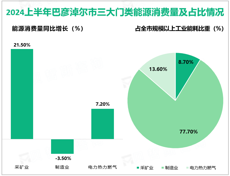 2024上半年巴彦淖尔市三大门类能源消费量及占比情况