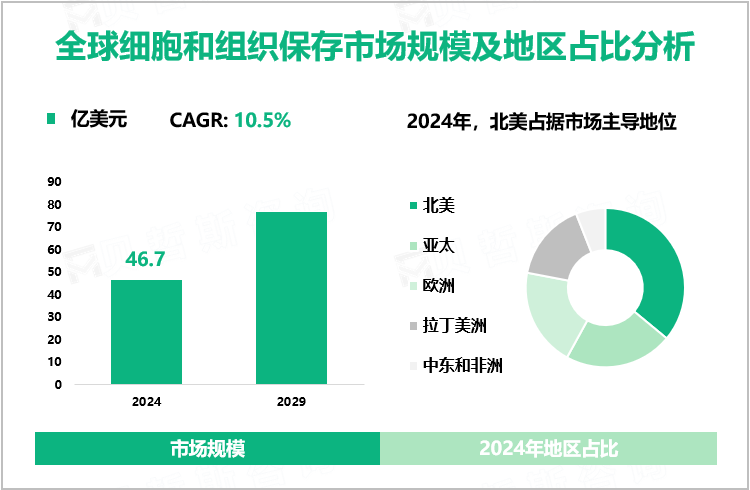 全球细胞和组织保存市场规模及地区占比分析