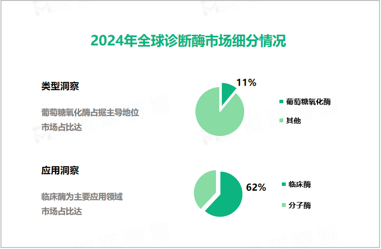 2024年全球诊断酶市场细分情况