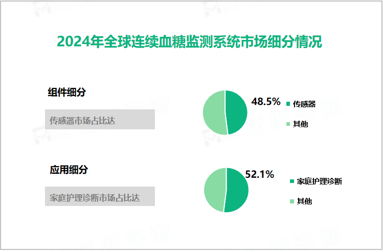 2024年全球连续血糖监测系统市场细分情况