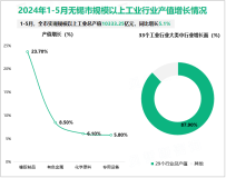 2024年1-5月无锡市规模以上工业总产值10333.25亿元，同比增长5.1%