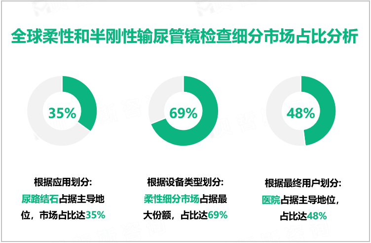 全球柔性和半刚性输尿管镜检查细分市场占比分析