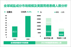 慢性疾病发病率上升助推减盐成分市场高速发展，2023年全球市场规模达45.5亿美元

