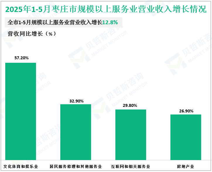 2025年1-5月枣庄市规模以上服务业营业收入增长情况