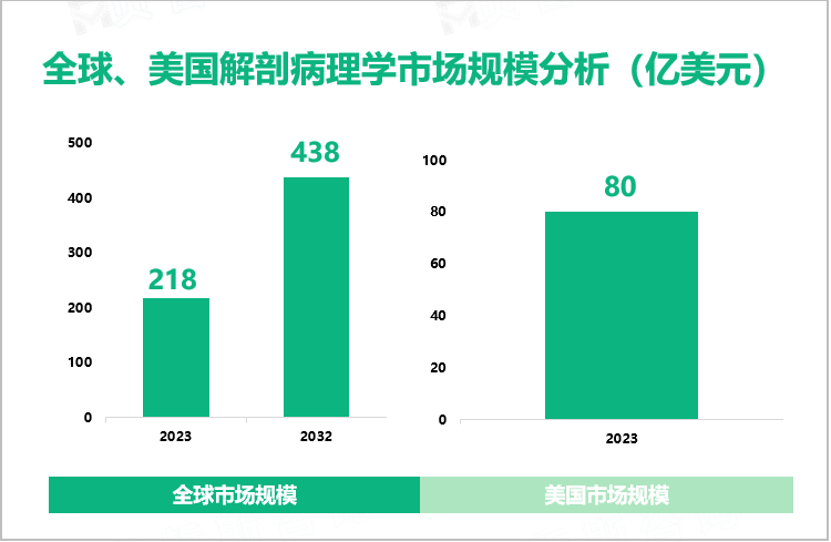 全球、美国解剖病理学市场规模分析（亿美元）
