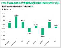 2024上半年淮南市社会消费品零售总额459.5亿元，同比增长3.2%