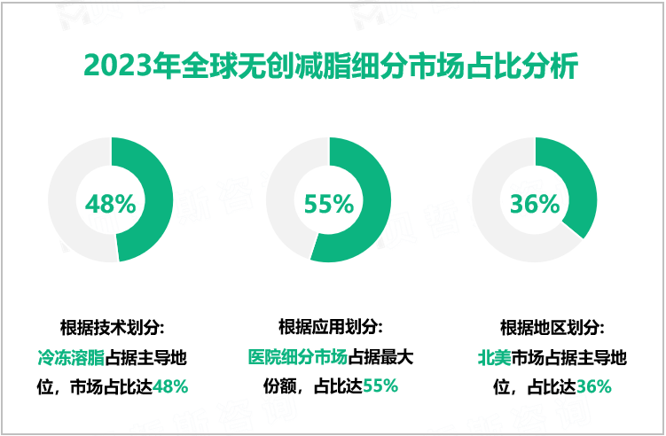 2023年全球无创减脂细分市场占比分析