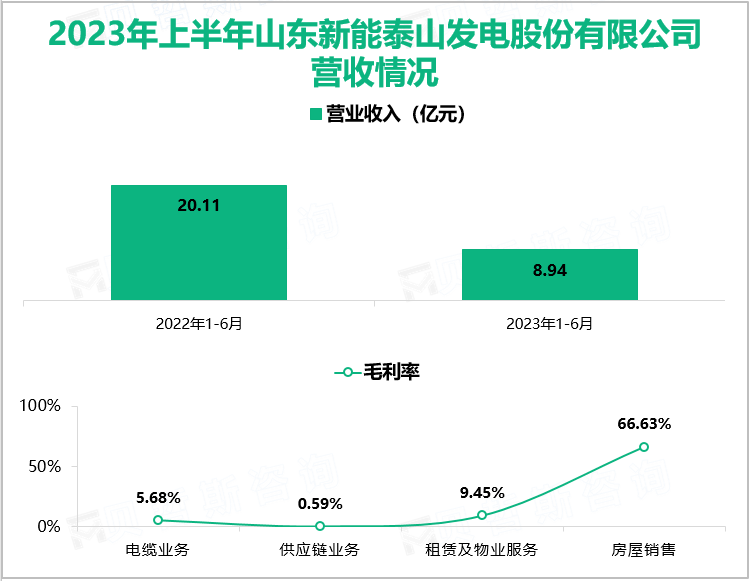 2023年上半年山东新能泰山发电股份有限公司营收情况