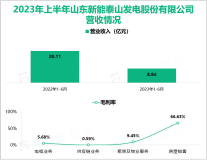 2023年上半年新能泰山阶段性适度控制供应链业务规模，导致总营收同比下降55.53%