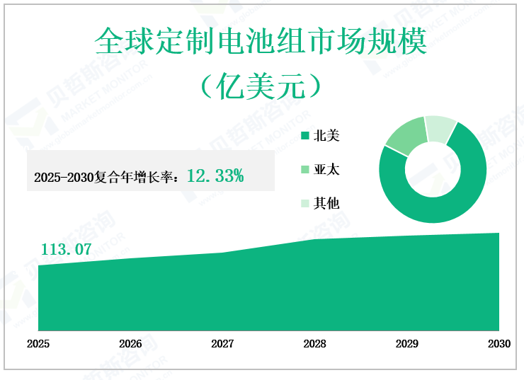 全球定制电池组市场规模 （亿美元）