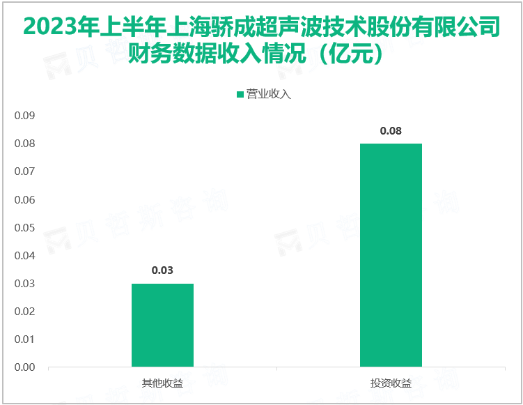 2023年上半年上海骄成超声波技术股份有限公司 财务数据收入情况（亿元）