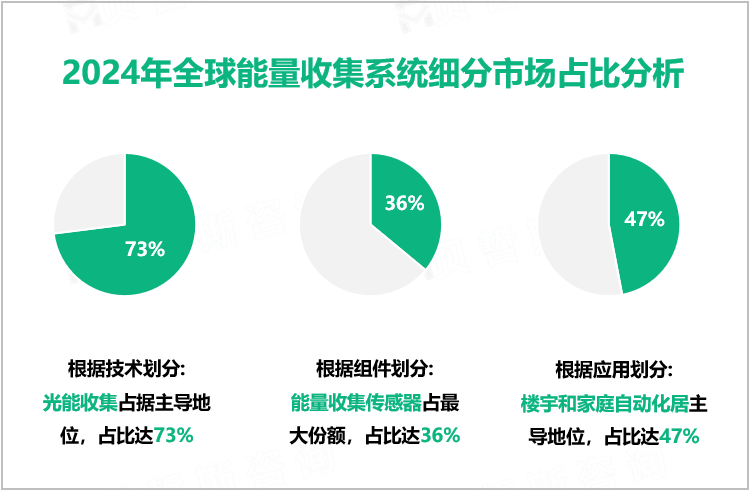 2024年全球能量收集系统细分市场占比分析