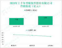 普联软件深耕集团企业数字化服务，其营收在2024年上半年为1.92亿元