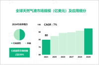 2024年天然气液市场现状：石化原料市场份额占比50%

