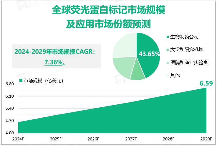 全球荧光蛋白标记市场规模及应用市场份额预测