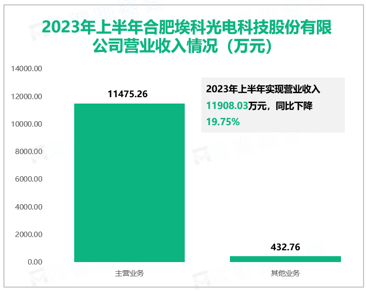 2023年上半年合肥埃科光电科技股份有限公司营业收入情况（万元）