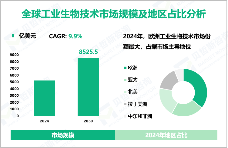 全球工业生物技术市场规模及地区占比分析