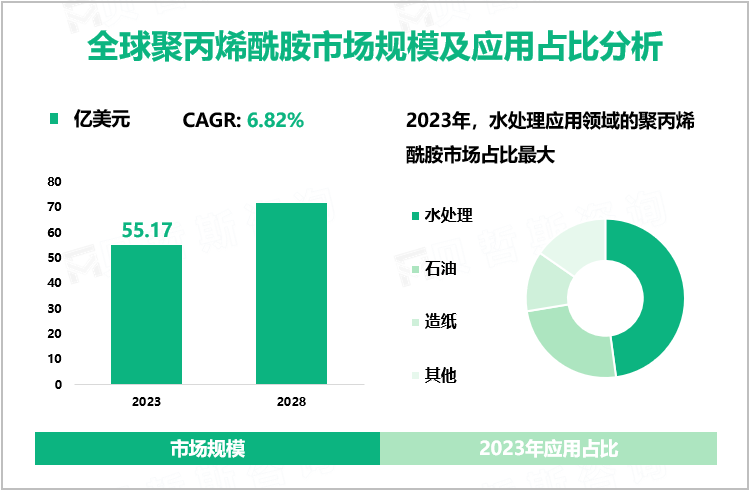 全球聚丙烯酰胺市场规模及应用占比分析