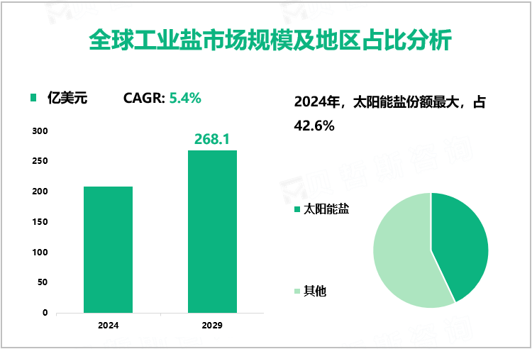 全球工业盐市场规模及地区占比分析