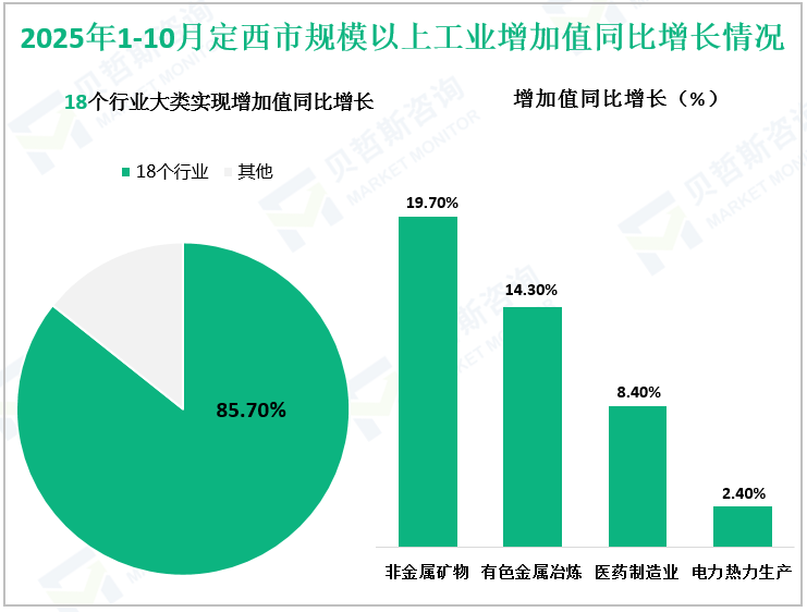 2025年1-10月定西市规模以上工业增加值同比增长情况