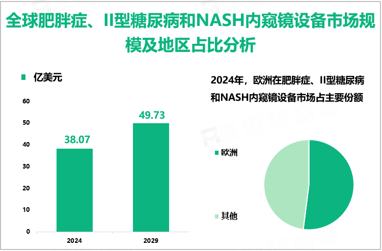 全球肥胖症、II型糖尿病和NASH内窥镜设备市场规模及地区占比分析