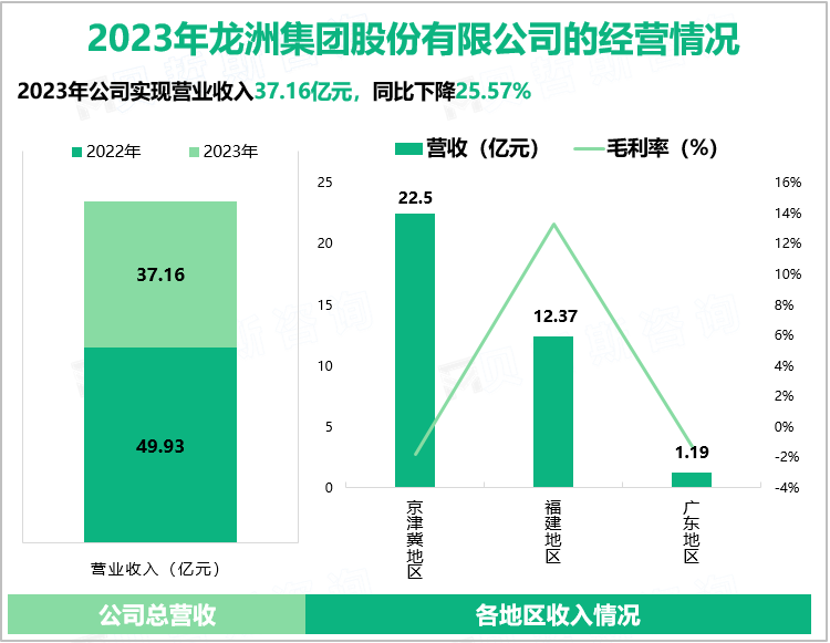 2023年龙洲集团股份有限公司的经营情况