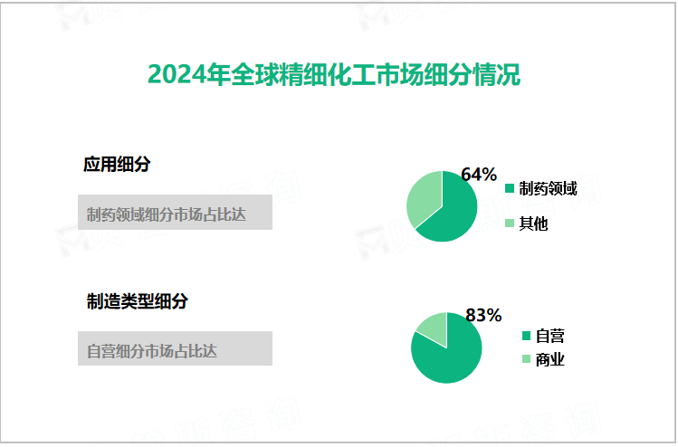 2024年全球精细化工市场细分情况 