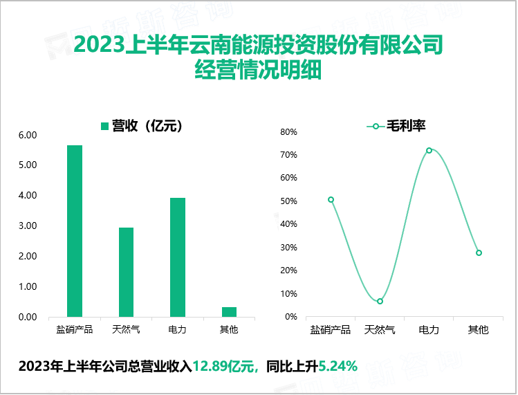 2023上半年云南能源投资股份有限公司 经营情况明细